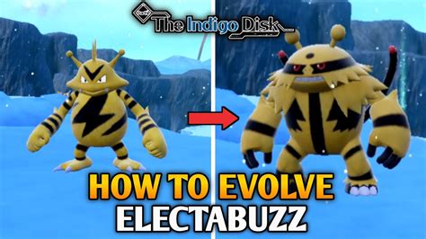 how to evolve electabuzz violet|Electabuzz Evolution: How to Evolve Electabuzz in Indigo Disk.